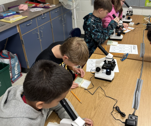 Microscopes